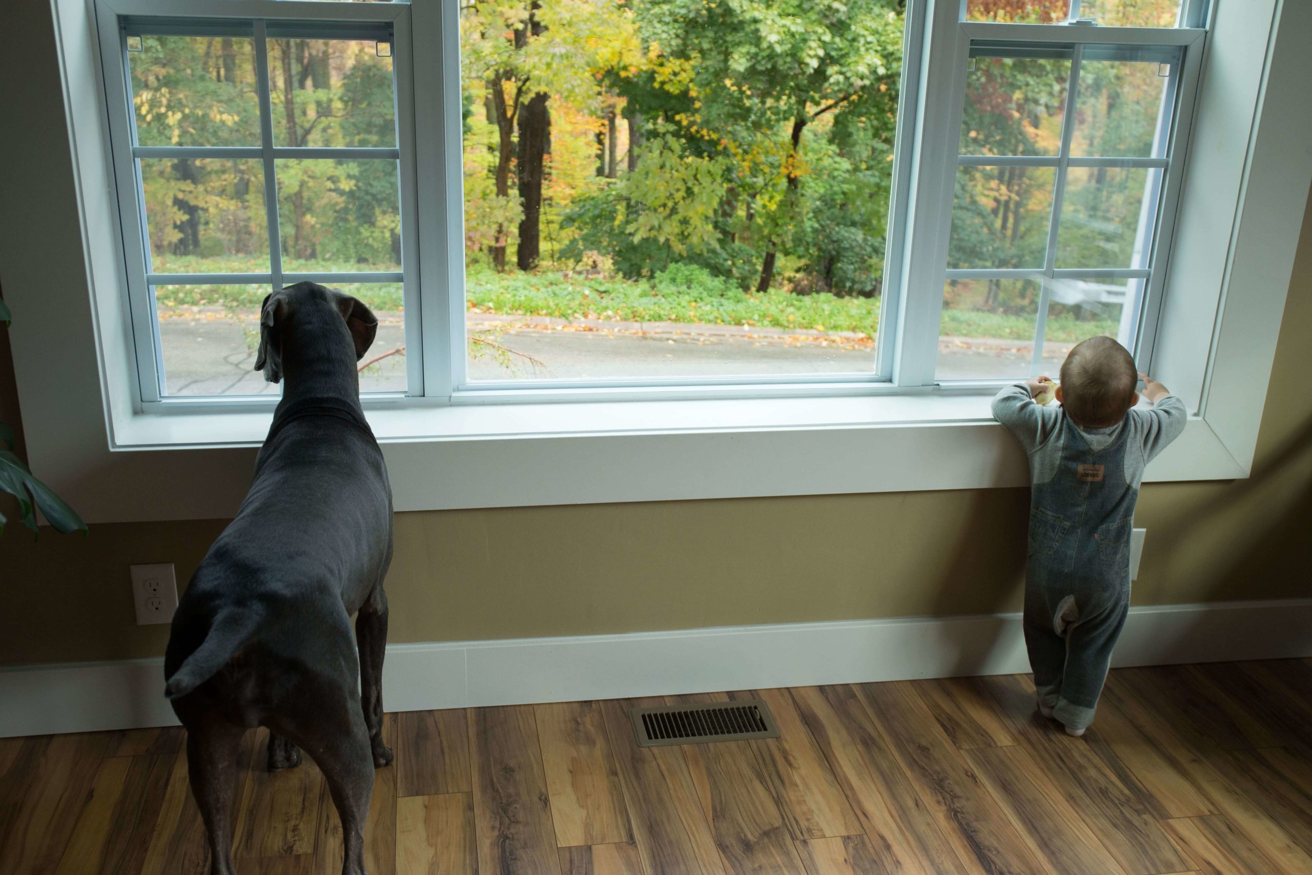 7 Benefits of Replacing Your Windows in Autumn