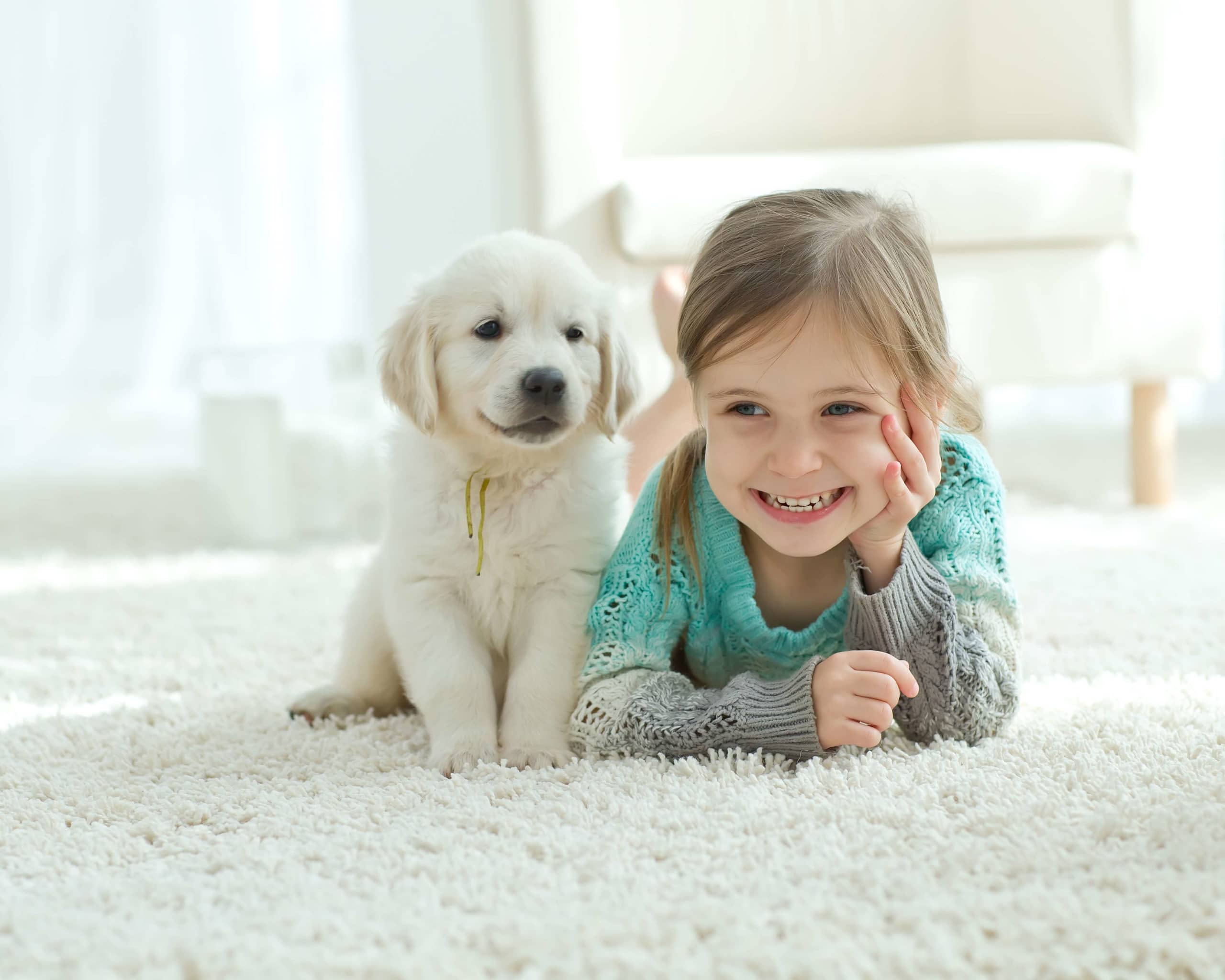 Safety First: Keeping Kids and Pets Safe During Remodeling