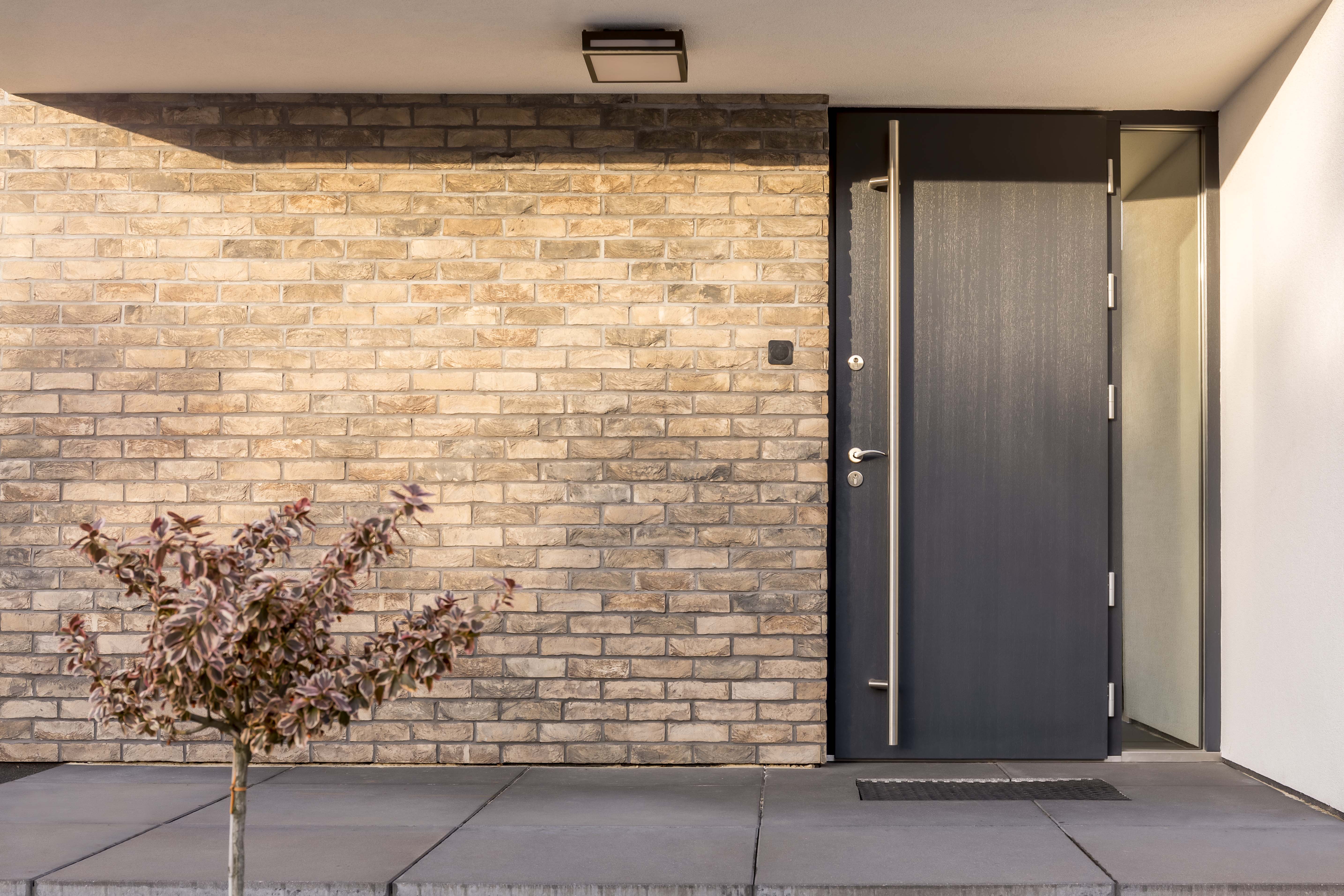 Trends in Door Design for 2024: What's New in Door Aesthetics, Materials, and Technology